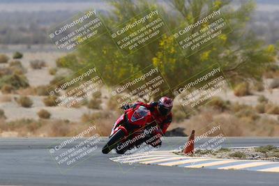 media/Apr-10-2022-SoCal Trackdays (Sun) [[f104b12566]]/Turn 5 Tree of Life (1040am)/